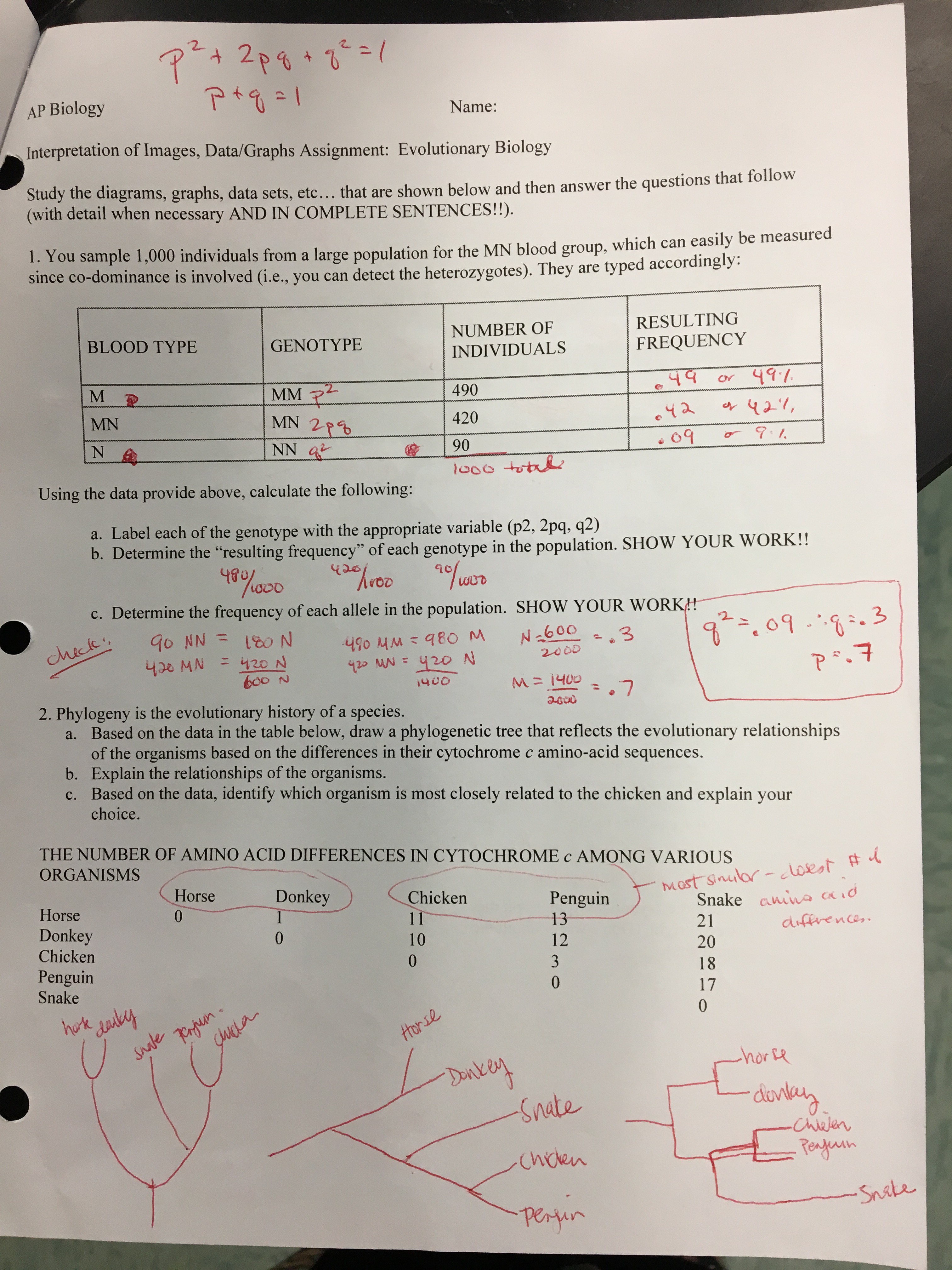 Pogil Activities For Ap Biology Answer Key Fuelhandler